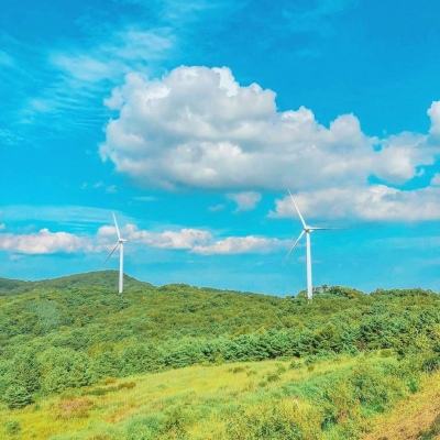 外媒：德国总理朔尔茨将访问中国 多家德国企业高管将一同前往