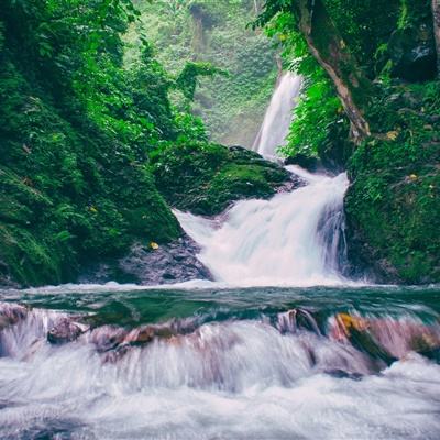 张五常：日暮黄昏话金庸