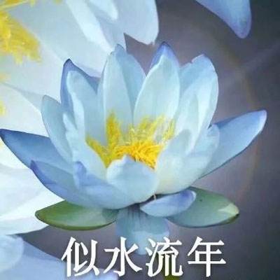 保龄球训练赛