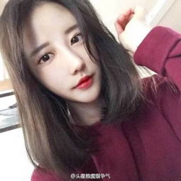 恐龙大战火箭车