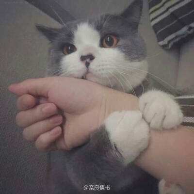爱情塔罗牌