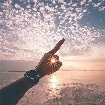 篮球锦标赛