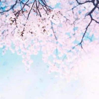免费视频API接口