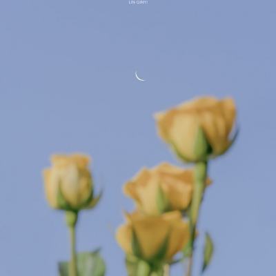 星厨烹饪记