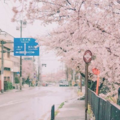阿sue经营香水