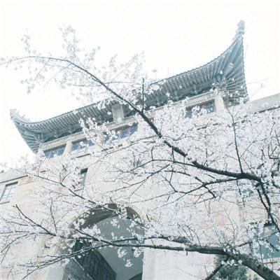 趣味淘汰赛