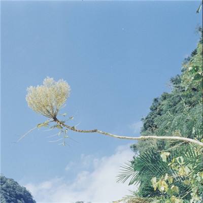 歼灭危险分子无敌版