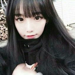 乐高北极科考