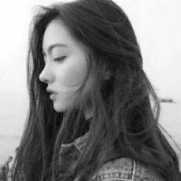三国英雄传Ⅲ