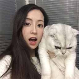 微型摩托手