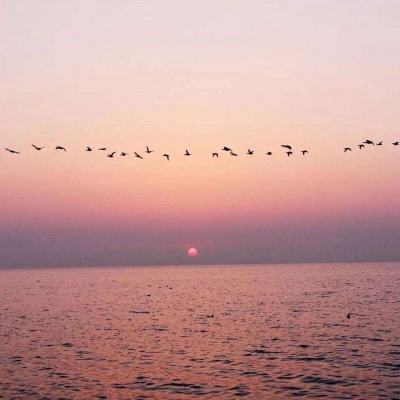 「上海发布」八月的最后一场浪漫晚霞，你赶上了吗？