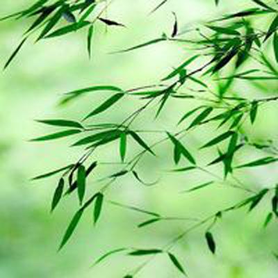 「央视财经」这一国突发！我使馆紧急提醒！所有中国公民居家不外出→
