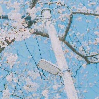 中字幕无线码中文字网