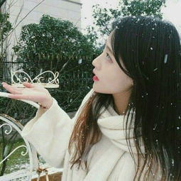 愤怒的大脚车