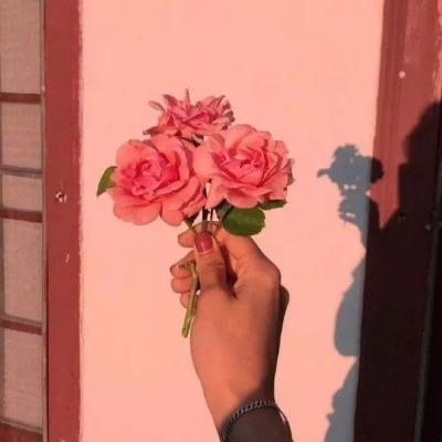 格斗战机