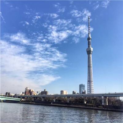 公路追逐战
