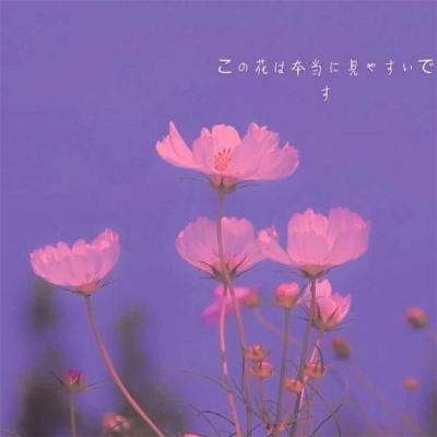 急速摩托