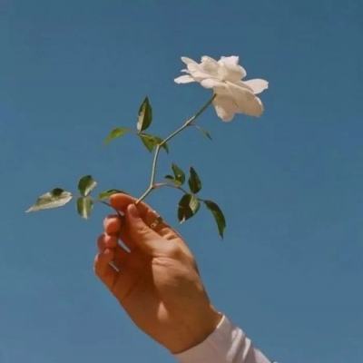 桃花源(原:小黄人)1.2.0