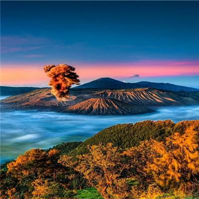 伊人大杳焦在中文字幕