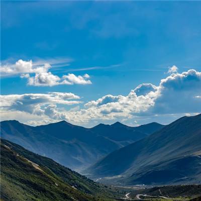 英语学习水果篇