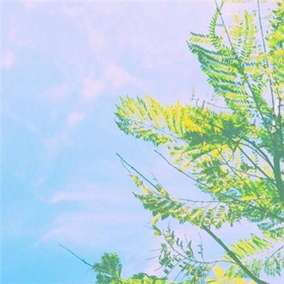 投篮特训