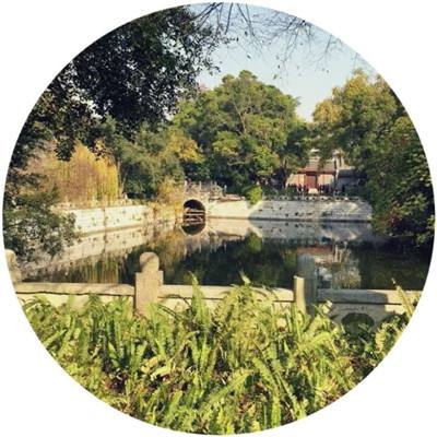 天堂网最新在线www中文 天堂网最新在线www中文