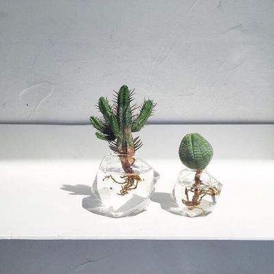 梦幻童话公主
