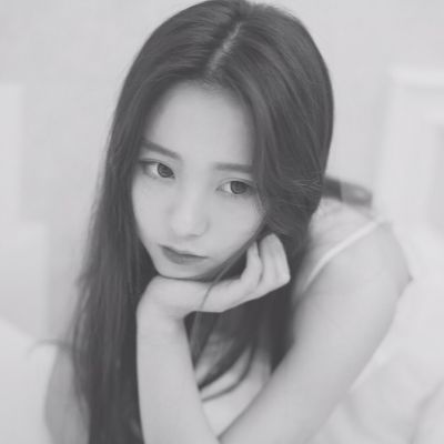蜜蜂飞镖