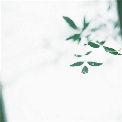 五角台球