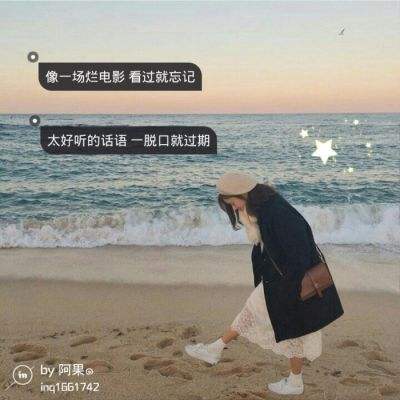 双翼飞翔机