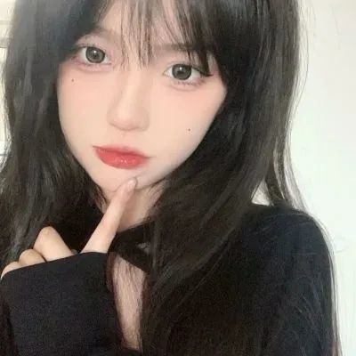 阿尔普卡车2