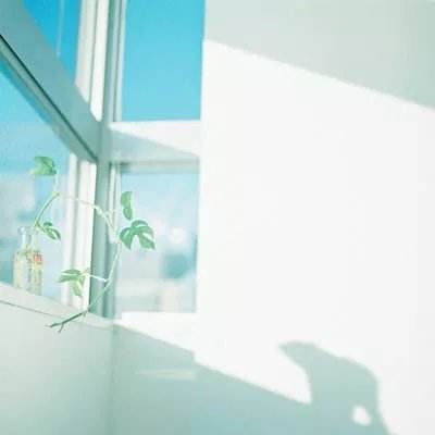明星斗地主