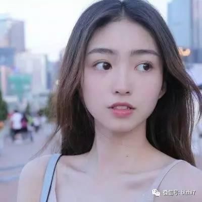 海豹排球赛