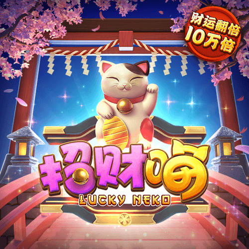 普洱