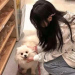 午夜汽车收钻石