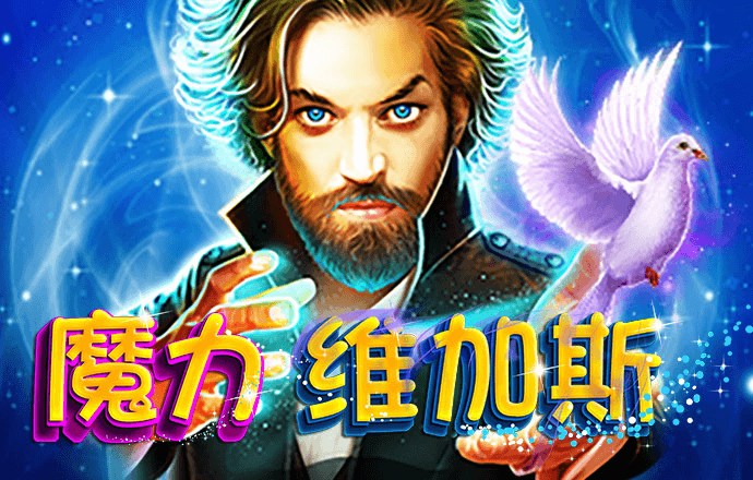 狗狗游泳锦标赛