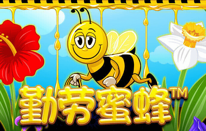 奶牛镇的小时光