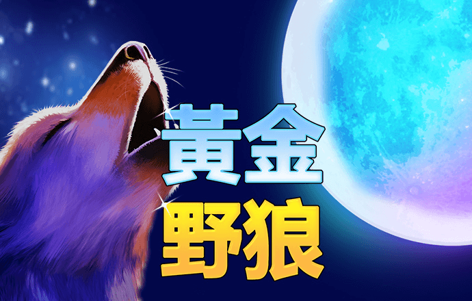 沙漠越野赛事