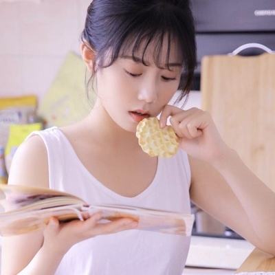 旅燕归航