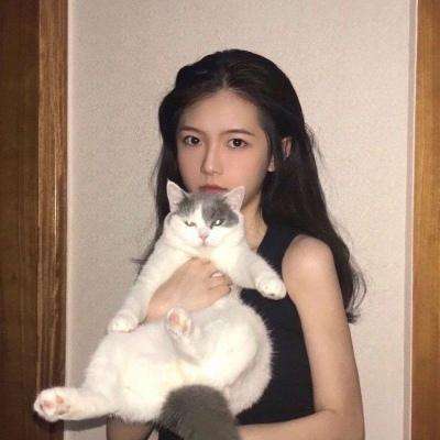 风味美食街