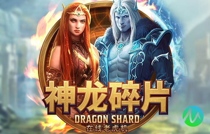 谷歌梯子截图
